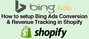 Bing Revenue Tracking in Shopify